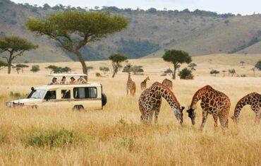 Kenya Safari Destinations