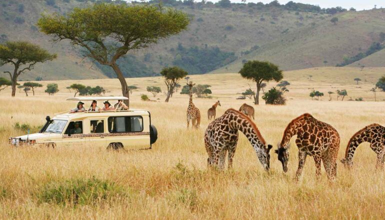 Kenya Safari Destinations