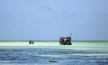 Diani sea Safari
