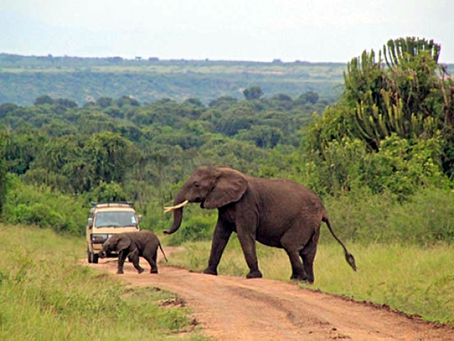 Shimba Hills day safari from Diani