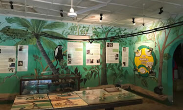 Diani Columbus conservation centre