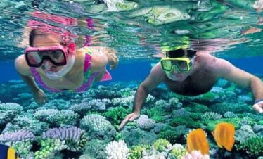 Things to do in diani