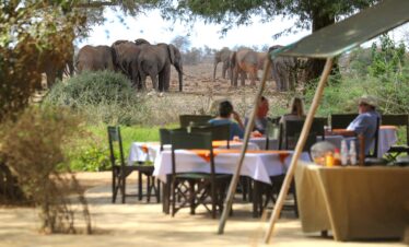 Luxury lodges in Tsavo East