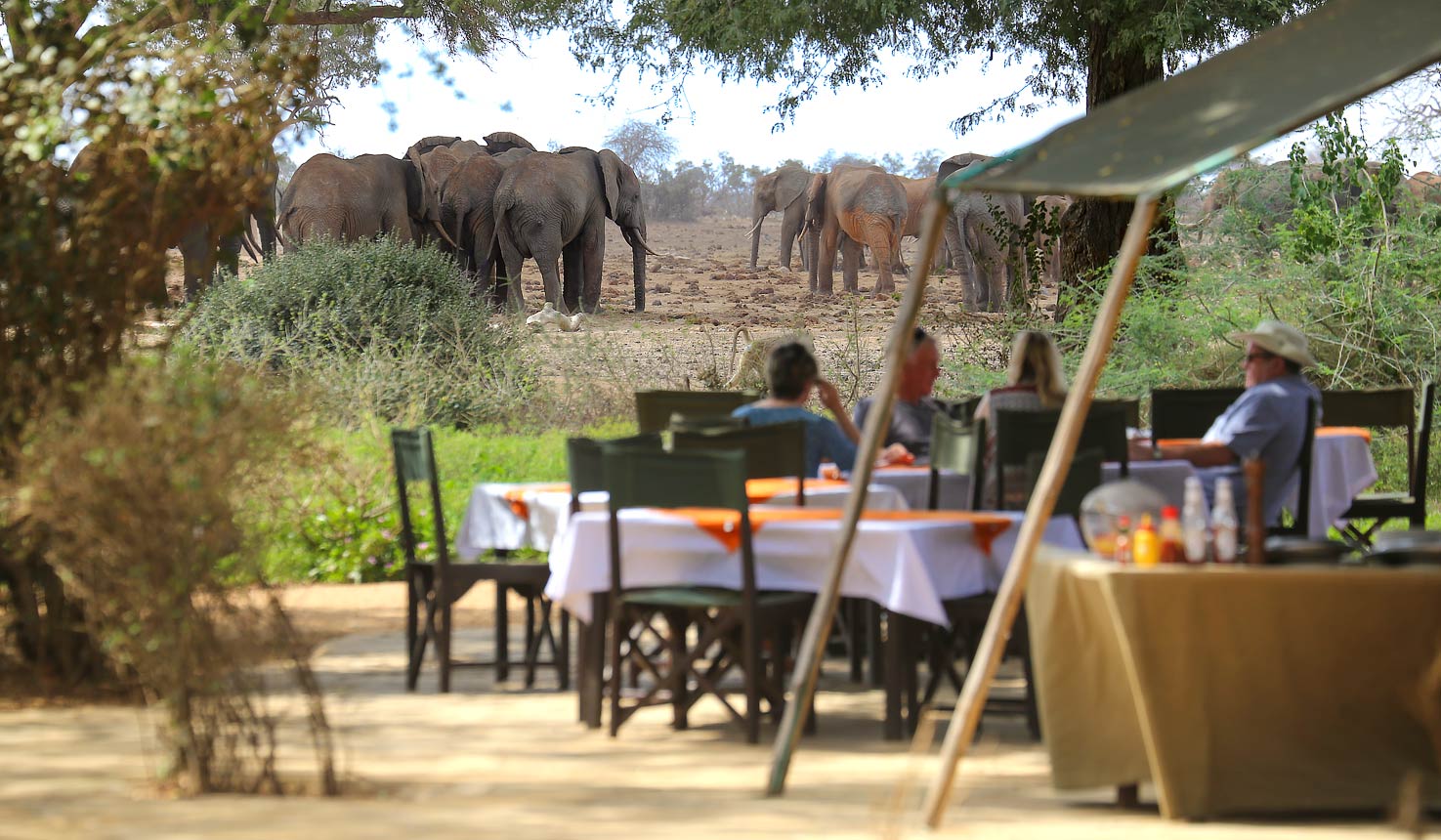 Luxury lodges in Tsavo East