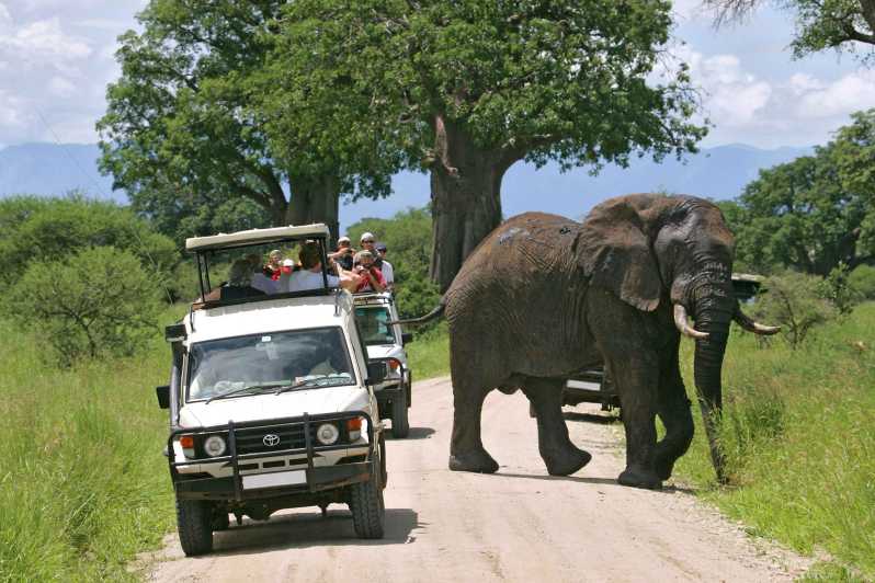 3 Days Tsavo East Luxury Jeep safari