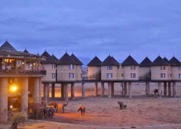 saltlick safari lodge safari from Diani Mombasa
