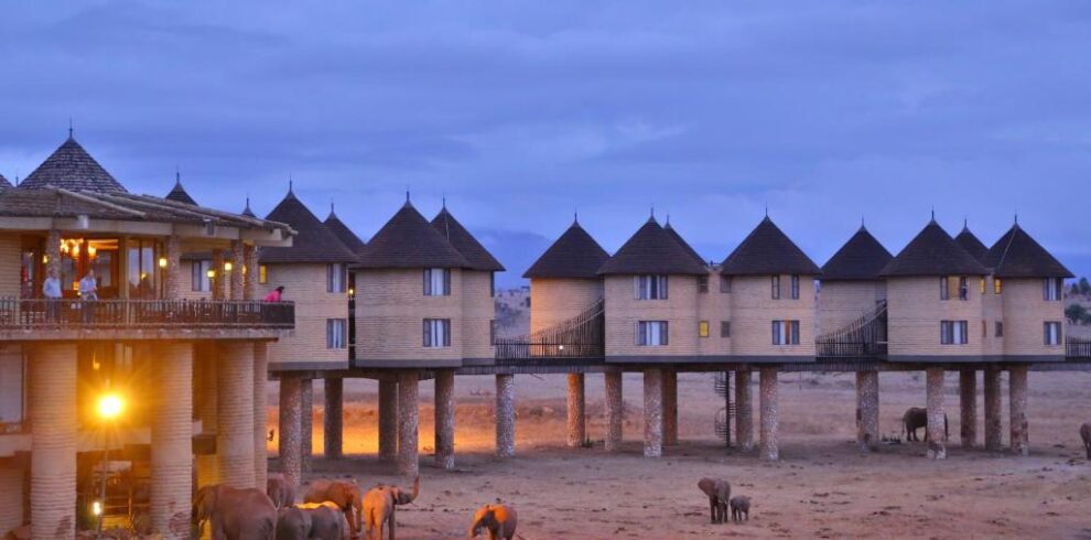 saltlick safari lodge safari from Diani Mombasa