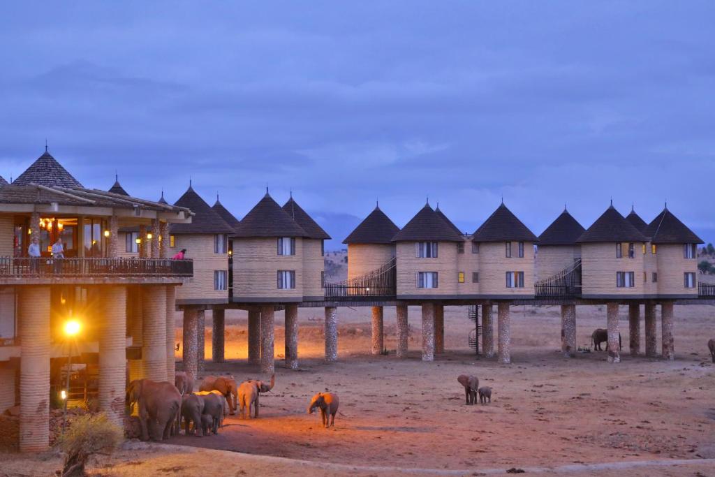 saltlick safari lodge safari from Diani Mombasa