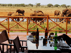 2 Days Ngutuni Safari from Diani Mombasa