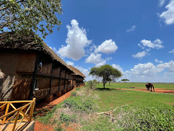 2 Days Ngutuni Safari from Diani Mombasa