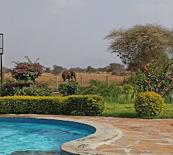 2 Days Ngutuni Safari from Diani Mombasa