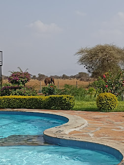 2 Days Ngutuni Safari from Diani Mombasa