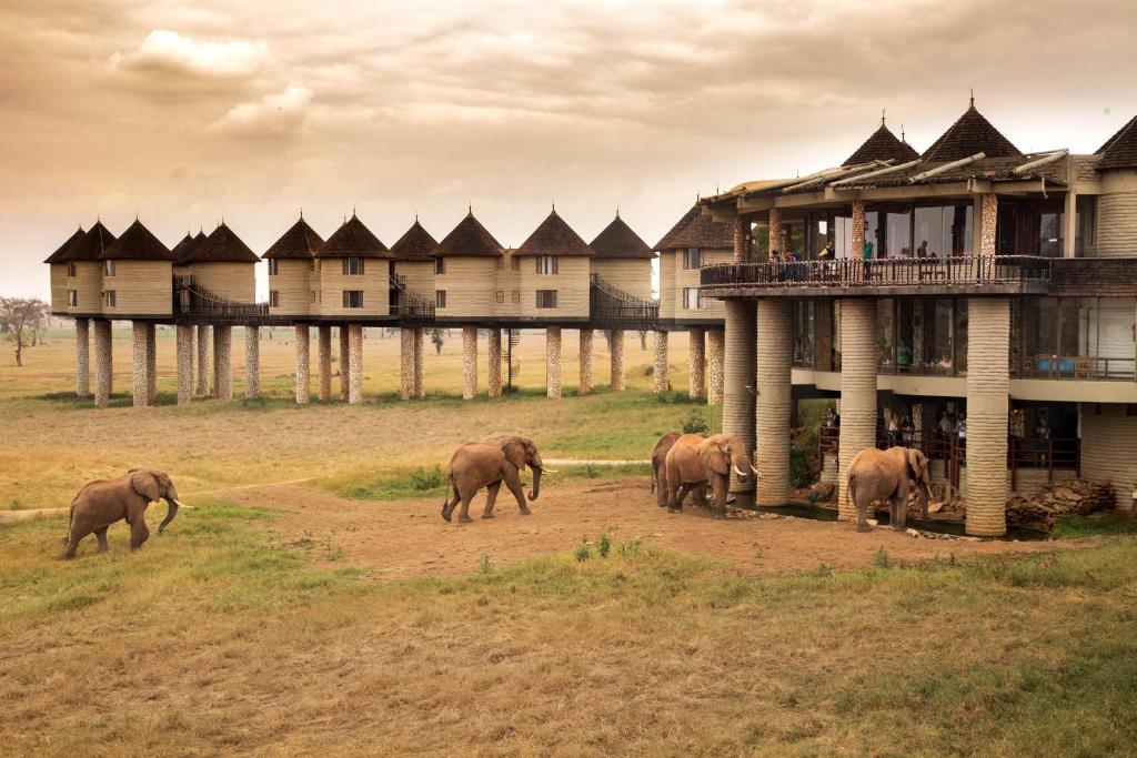 Diani Beach safari to Taita Hills Saltlick