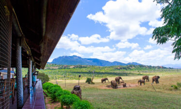 safari lodges in Tsavo west