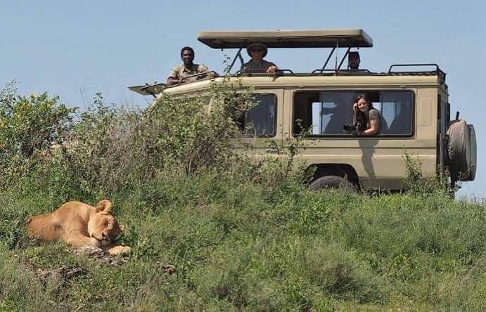 Kenya Luxury Safari packages