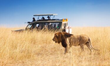 Kenya Luxury safari tour packages