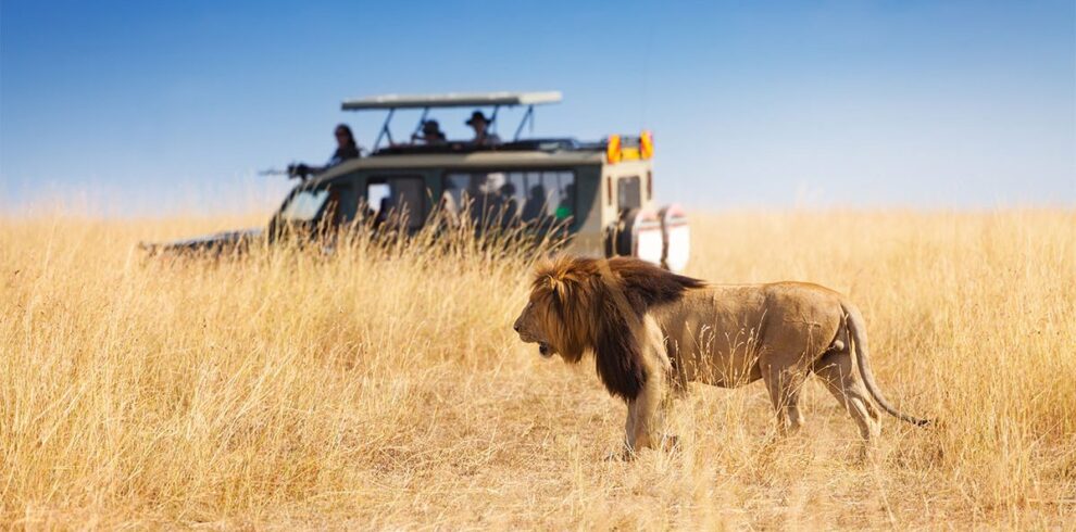 Kenya Luxury safari tour packages