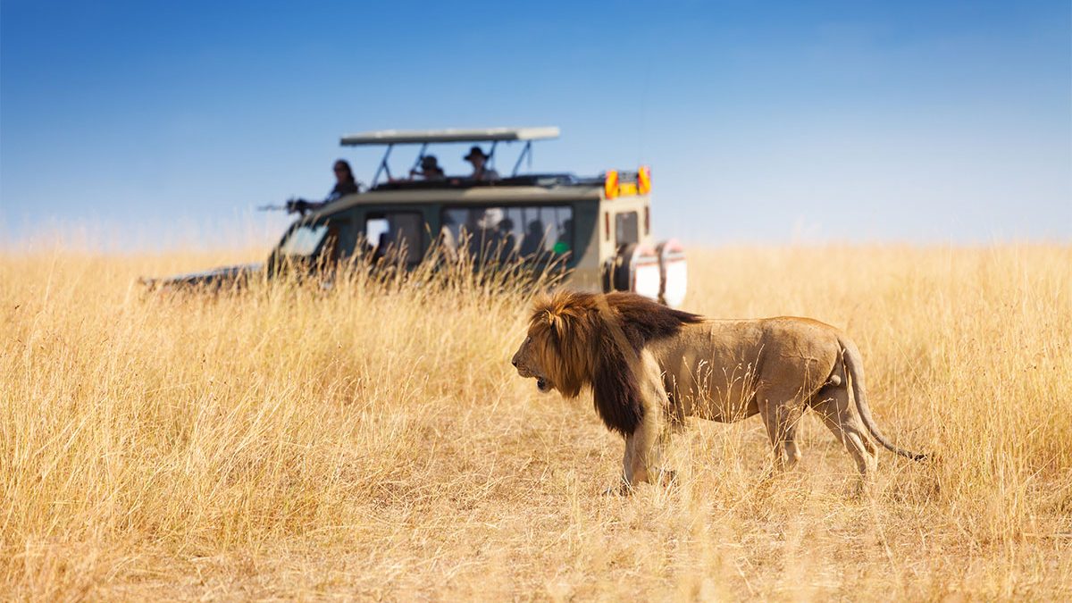 Kenya Luxury safari tour packages