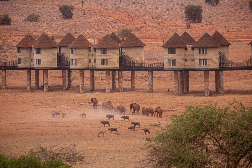 Aerial view of Salt Lick Safari Lodge built on stilts over a waterhole