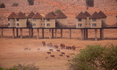 Aerial view of Salt Lick Safari Lodge built on stilts over a waterhole