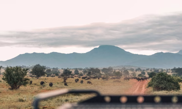 Safari vehicle with tourists viewing wildlife in Taita Hills, Kenya