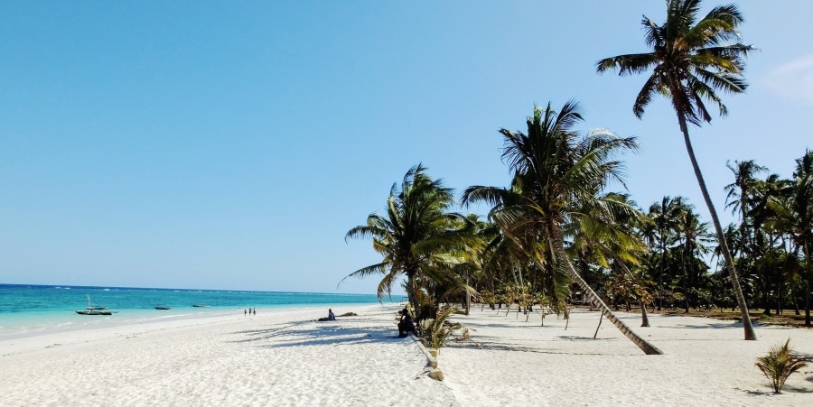 Top 10 Diani Beach Tours and excursions | Best places you can visit in Diani Beach