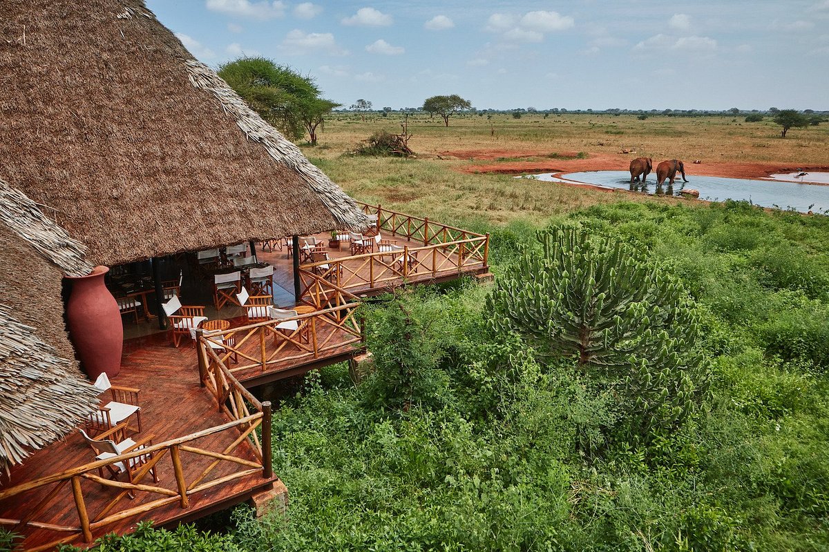 Ngutuni Safari Lodge