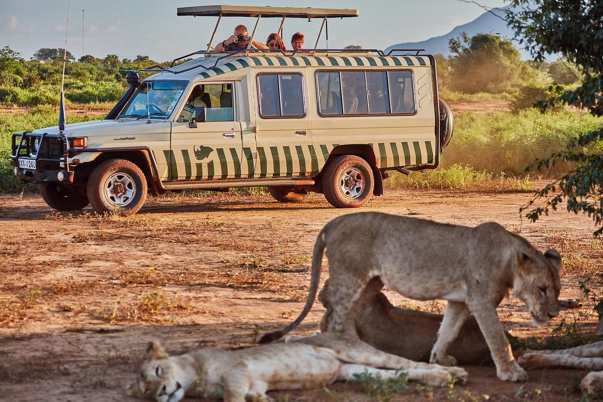 2 Days Ngutuni Jeep Safari from Diani Mombasa
