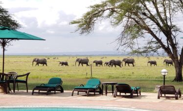 Oltukai Lodge Amboseli