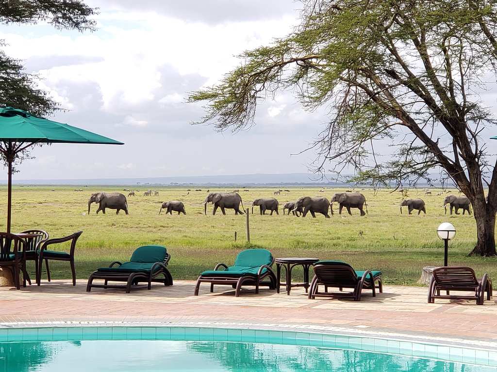 Oltukai Lodge Amboseli