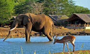 Tsavo East Safari Camps | Satao Camp