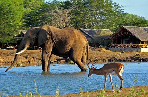 Tsavo East Safari Camps | Satao Camp