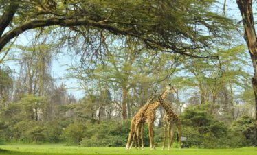 Crescent Island Lake Naivasha