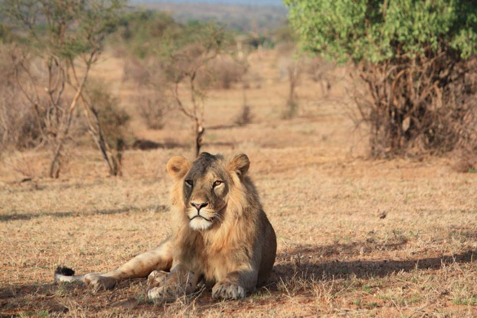 Kenya Safari destinations