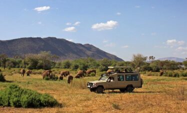 Kenya Samburu Jeep Safari from Nairobi