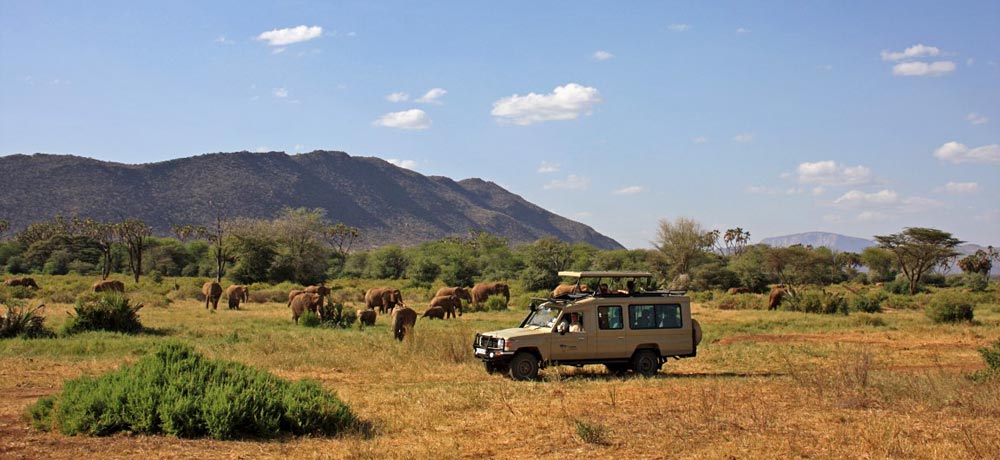 Kenya Samburu Jeep Safari from Nairobi