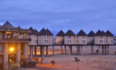 diani beach kenya safari and tours