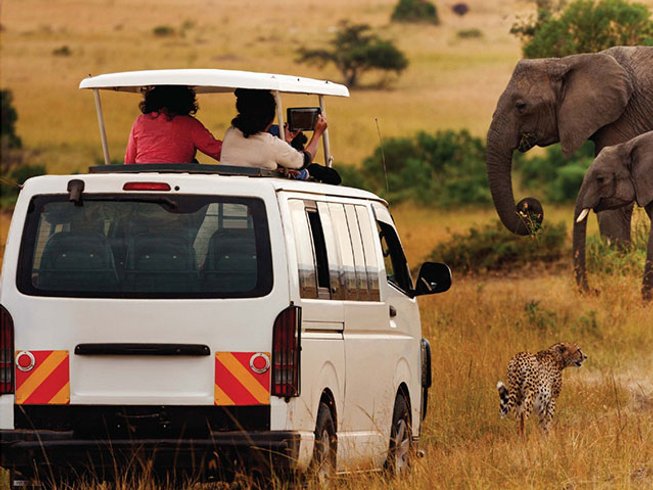 diani travel tours and safaris