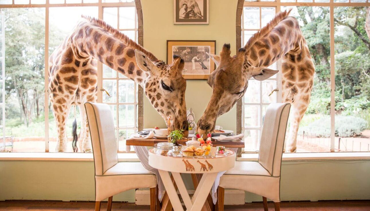 Kenya Luxury Safari destinations