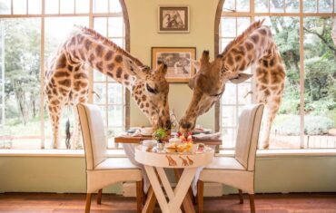 Kenya Luxury Safari destinations