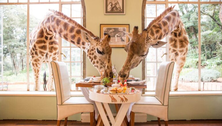 Kenya Luxury Safari destinations