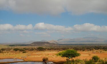 Tsavo National Perk
