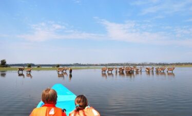 Day trip to Lake Naivasha from Nairobi