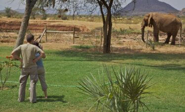 Samburu Safari Packages from Nairobi