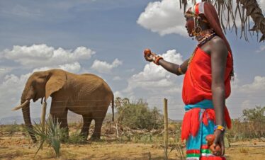 Samburu Flying Safari package