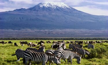 Amboseli National Park from Nairobi