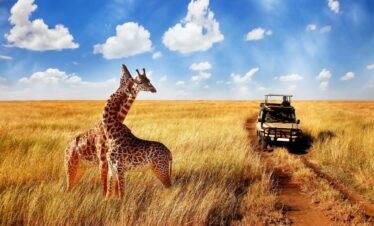 Mombasa Kenya Safari packages