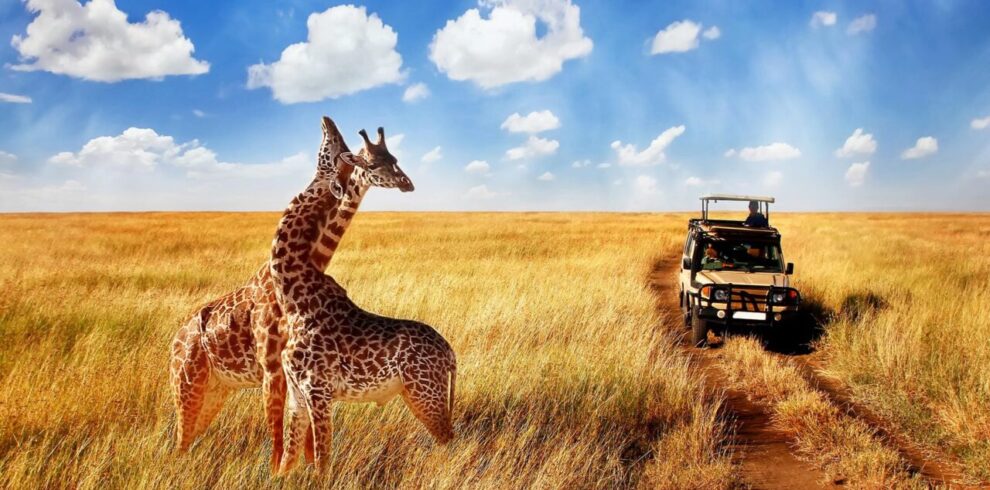 Kenya Safari Package