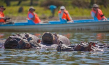 Lake Naivasha boat tour