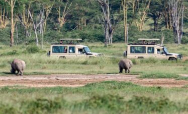 Nairobi Safari Packages